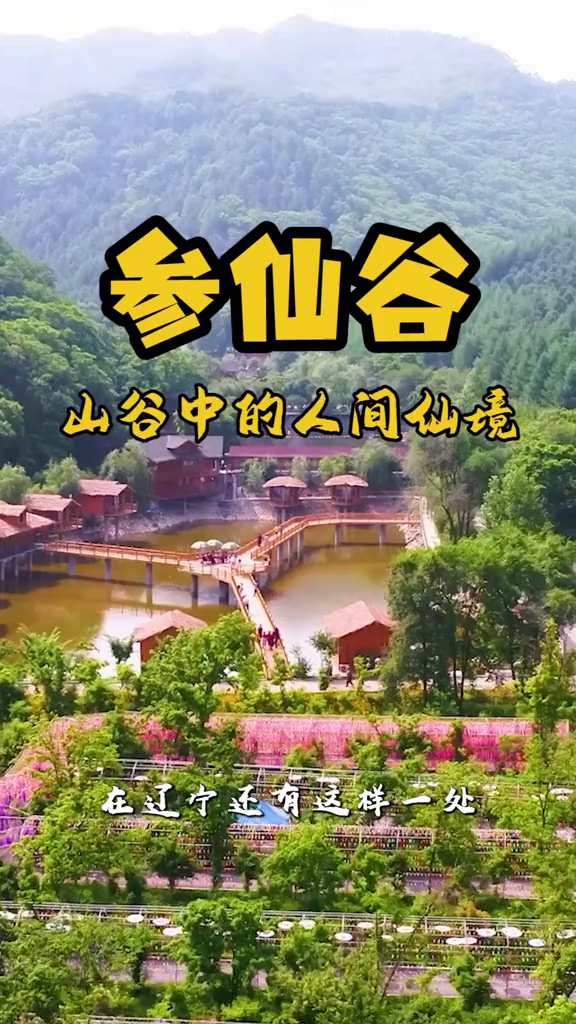 抚顺参仙谷景区门票图片