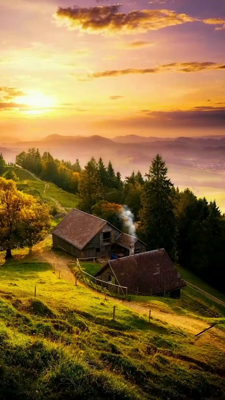 有些风景,如果早些看到的话,就早一天被治愈了吧!