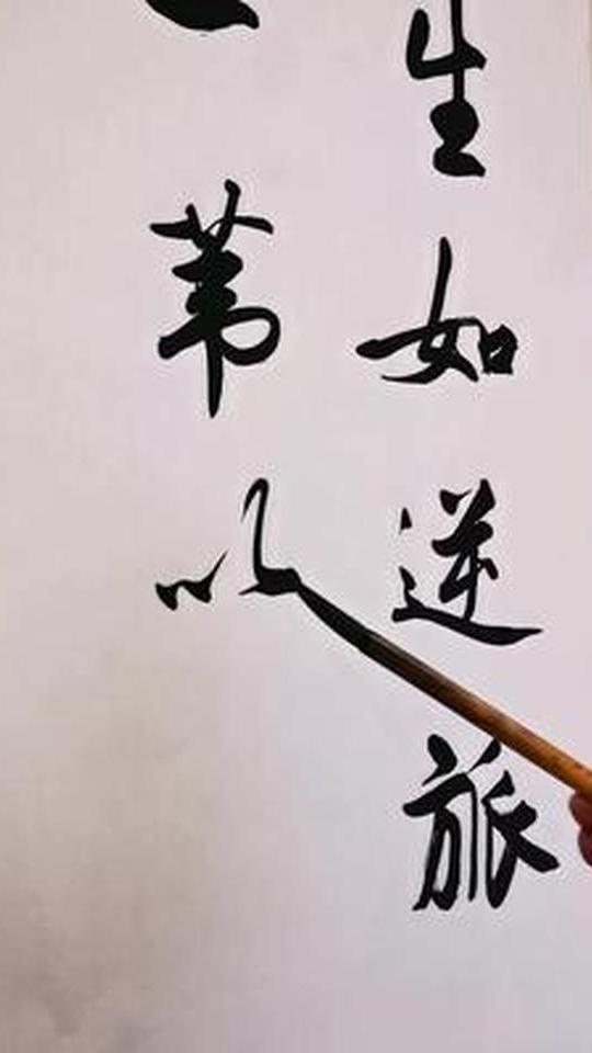 今日分享——生如逆旅,一苇以航