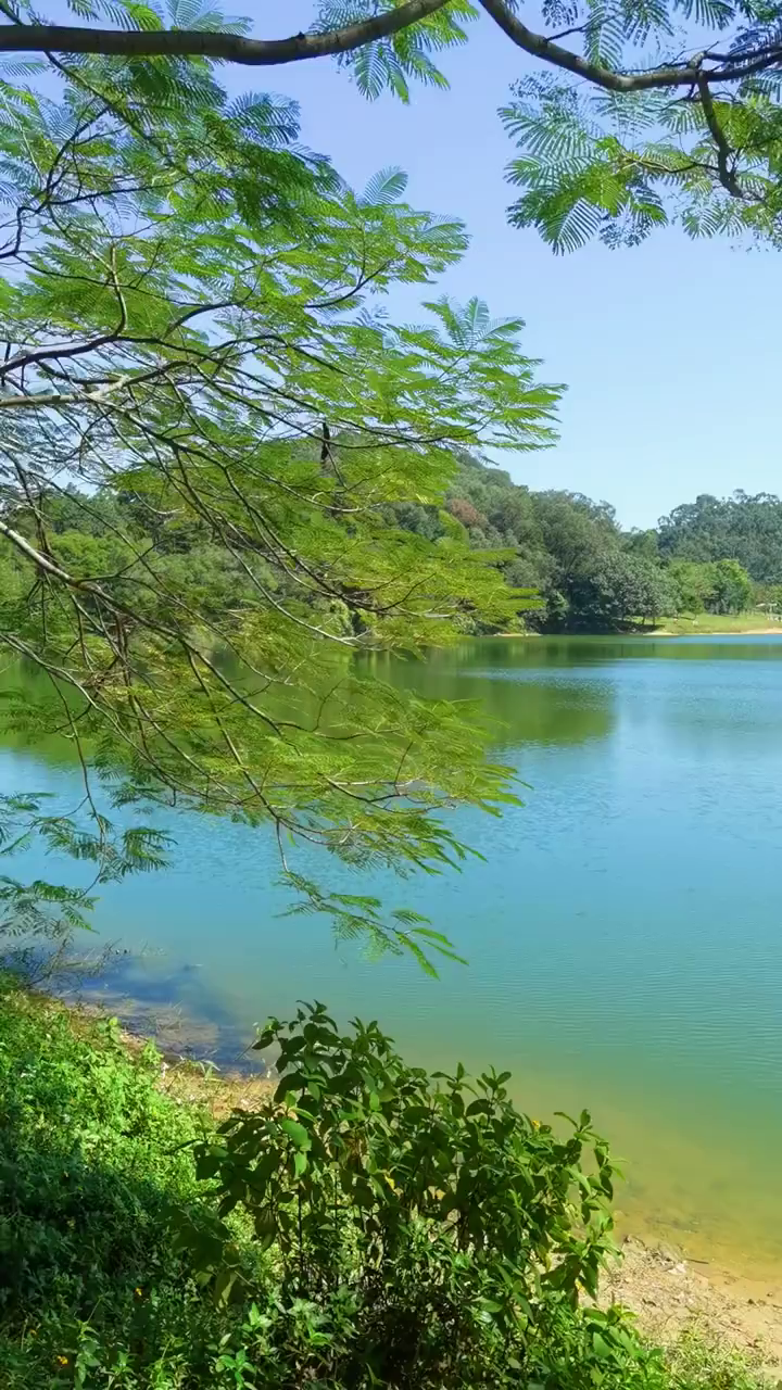 东莞虎英郊野公园山水美地