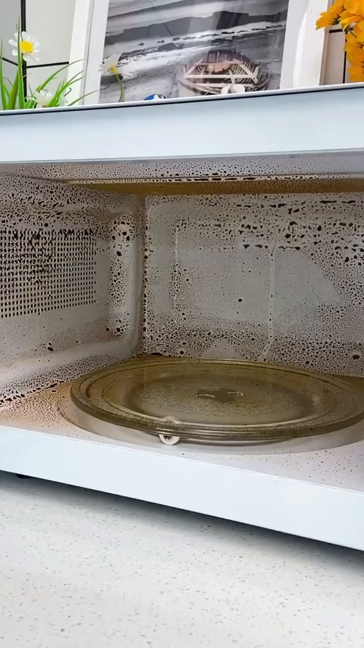 有了这个盖子微波炉热菜再也不会四处飞溅内壁都是油污了