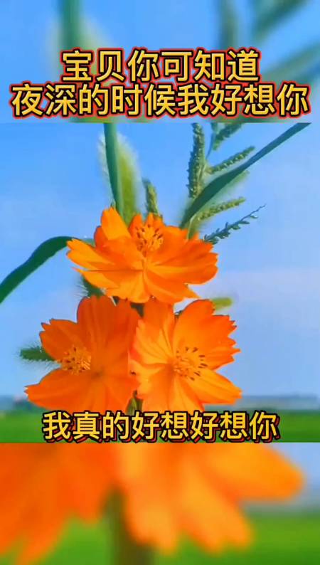 宝贝你可知道?夜深的时候我好想你?音乐