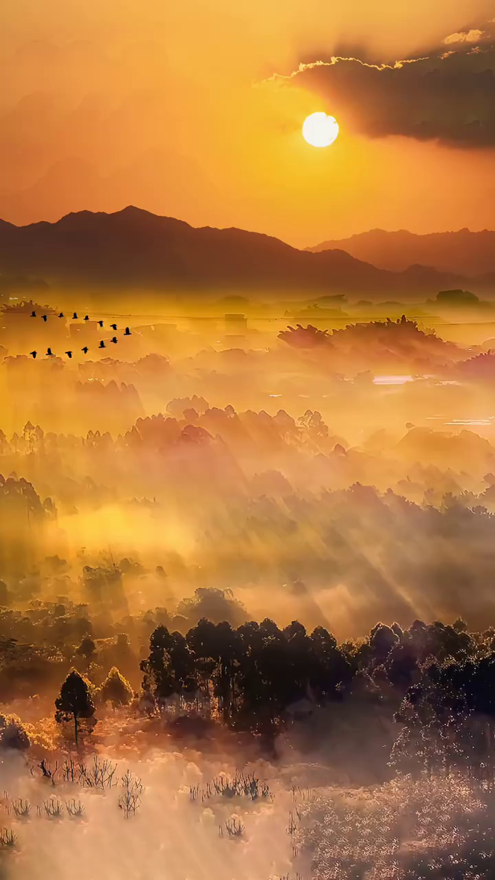 落日归山林山林藏深意余晖伴晚霞晚霞知我心