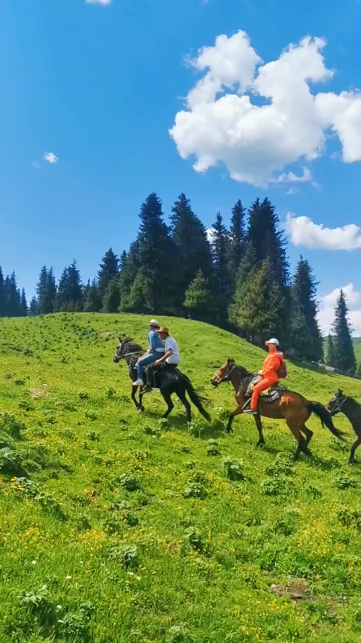 走:骑马带你游新疆,看草原,雪山