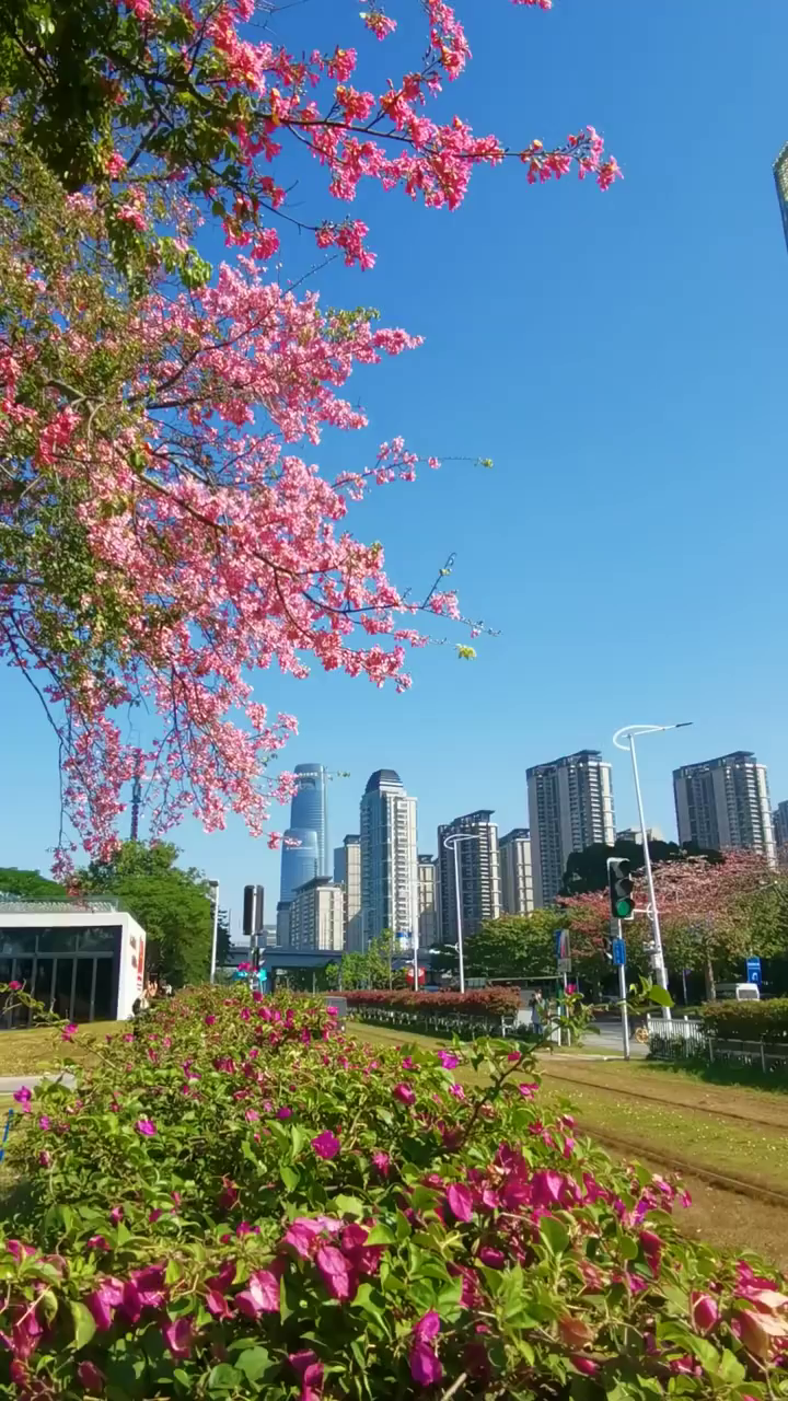 广州亲水公园秋游遛娃野餐的好地方-度小视
