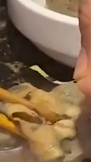 海底捞深夜道歉:塑料乌鸡卷一事已查明