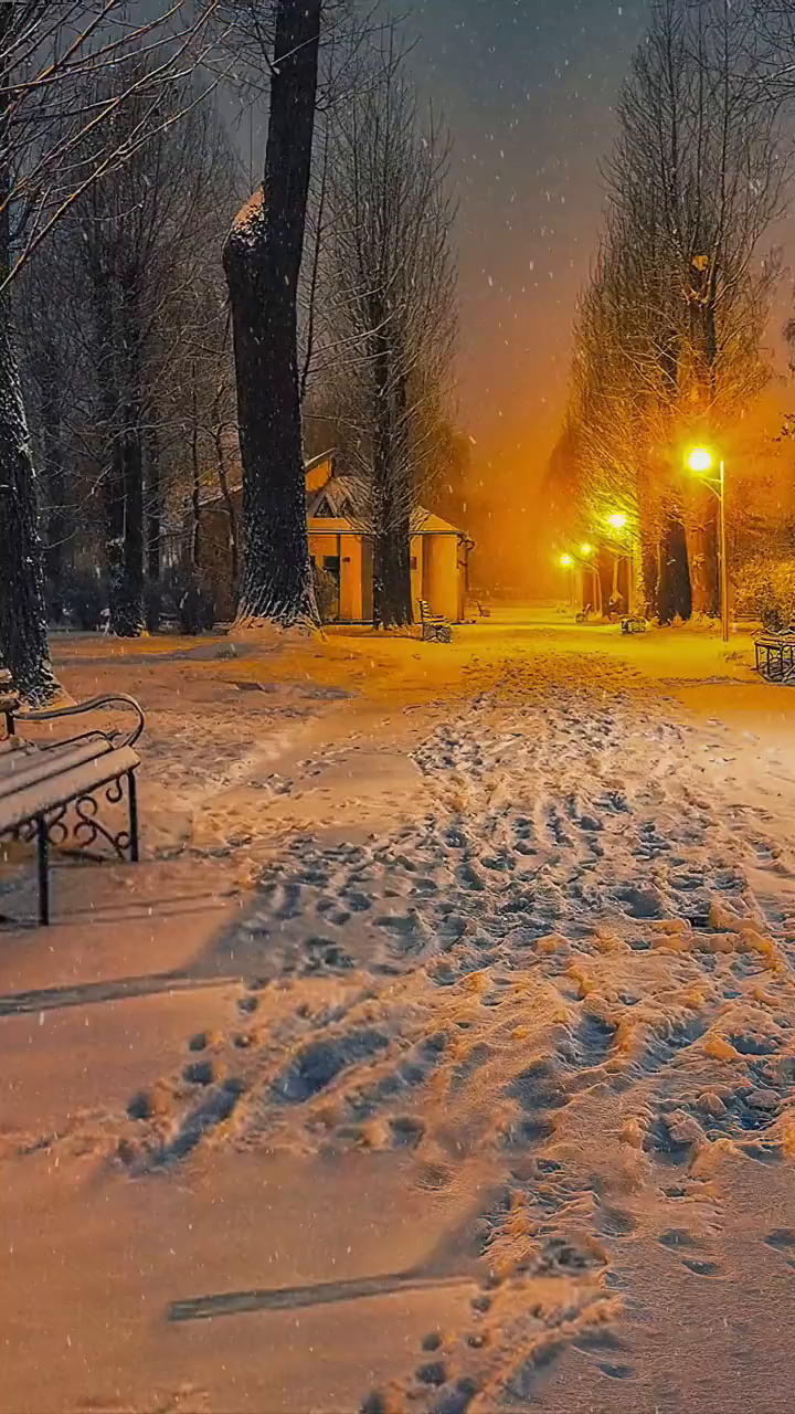 喜欢一个人在夜晚路灯下慢慢地走着,吹着冷风,淋着雪,或许是孤独吧