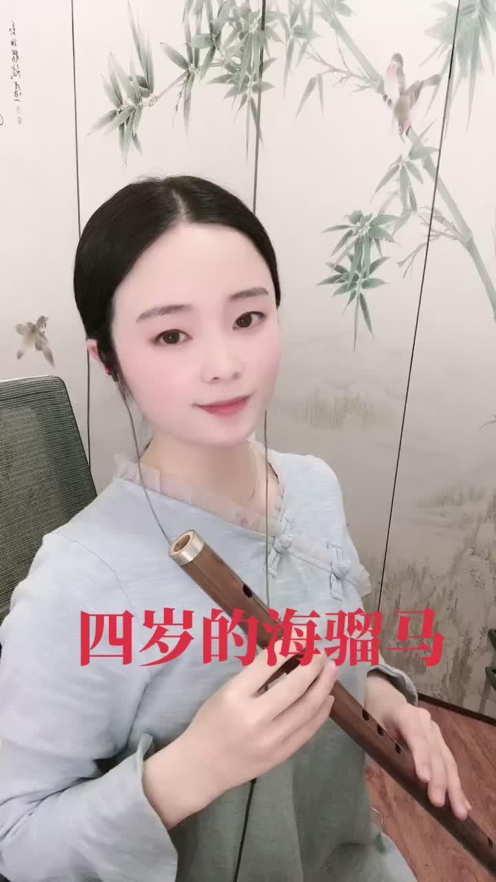 四岁的海骝马阿云嘎笛子演奏