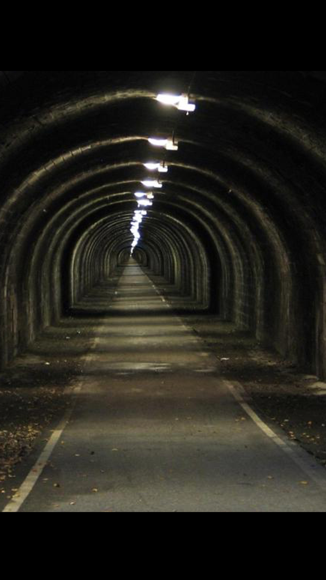 真实故事改编:阿根廷7人越狱,挖隧道发现诡异成堆白骨!第2集