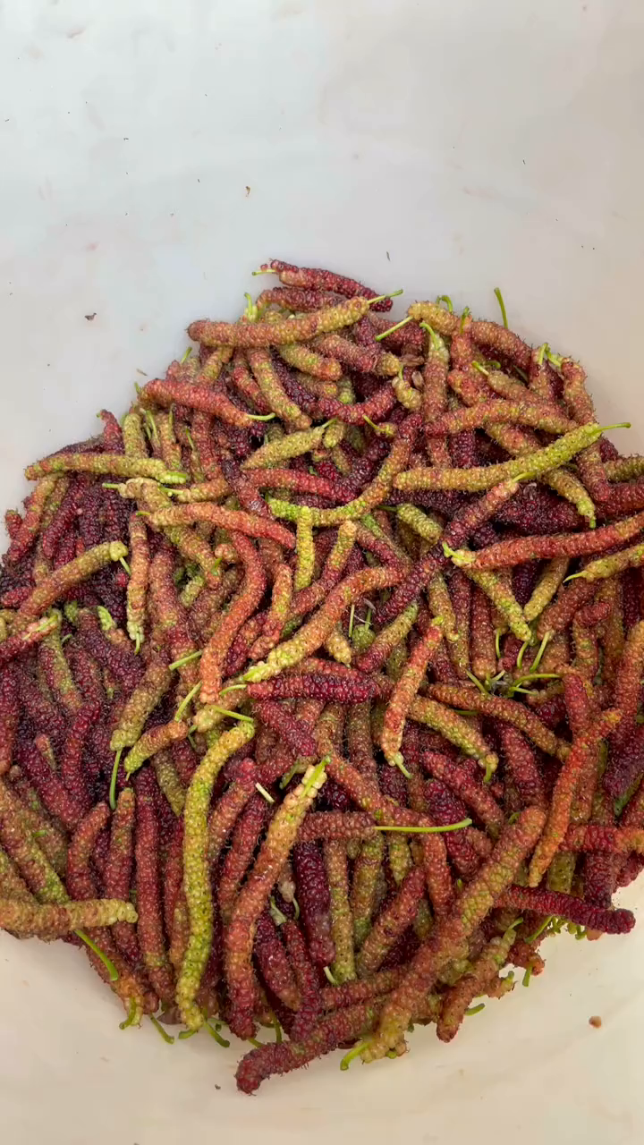 这种酷似"毛毛虫"的水果你吃过吗?