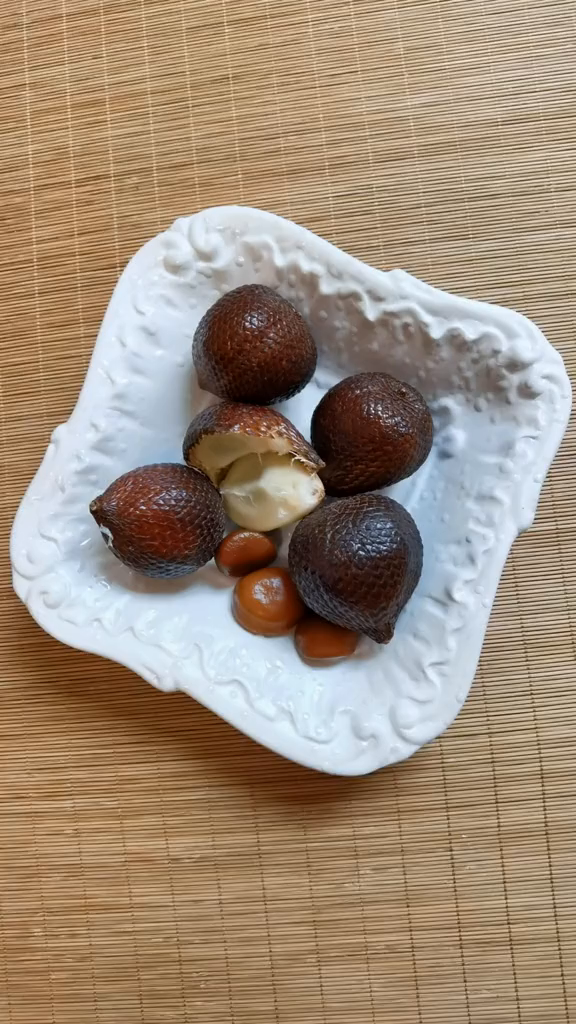 出芽率百分之百的蛇皮果种子,根系也很特别.种子盆栽-度小视