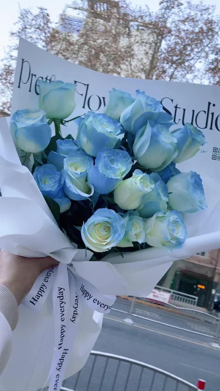 21支密西根碎冰蓝玫瑰!