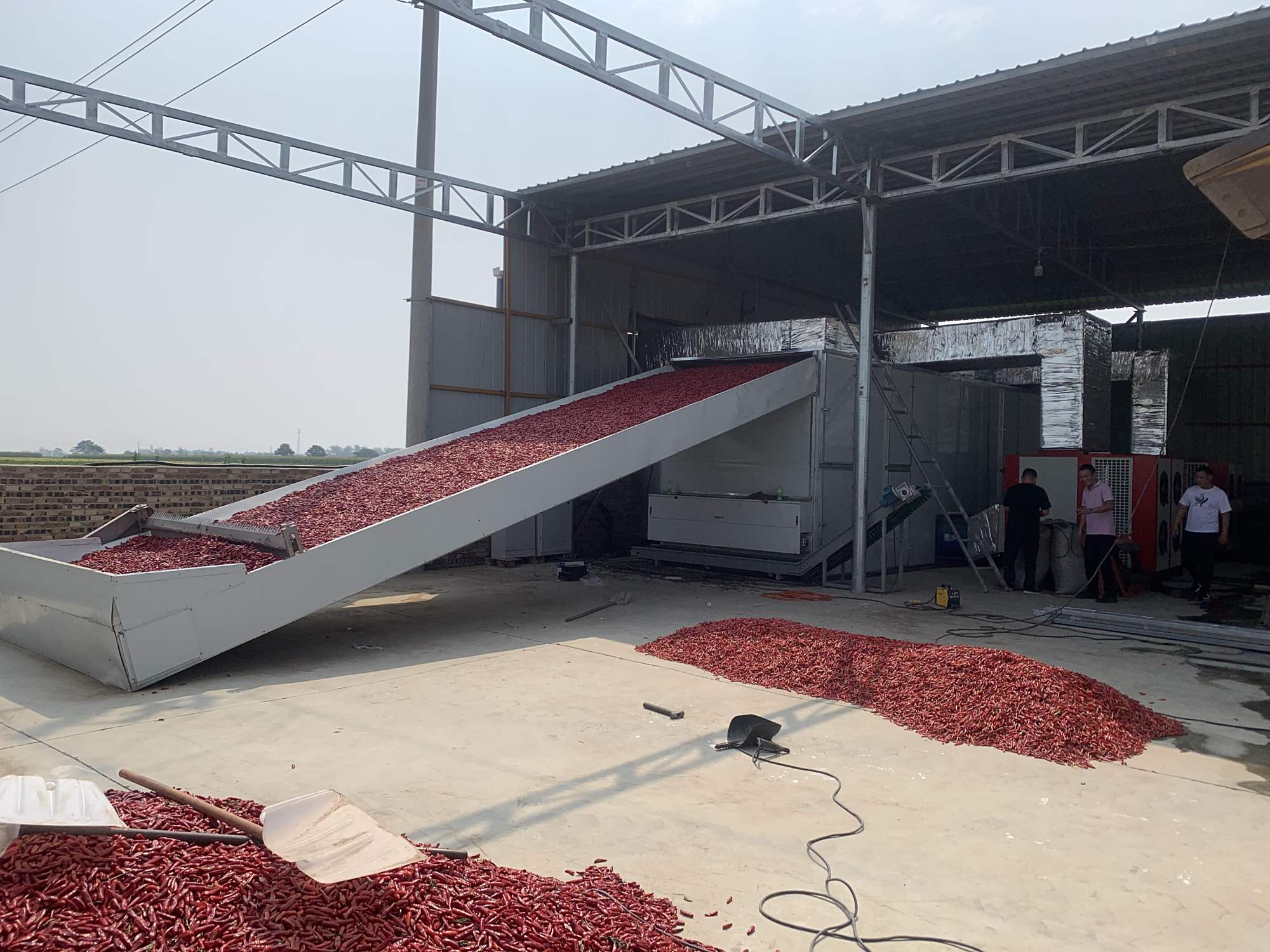 大型辣椒烘干机多少钱一台?辣椒烘干机设备价格报价