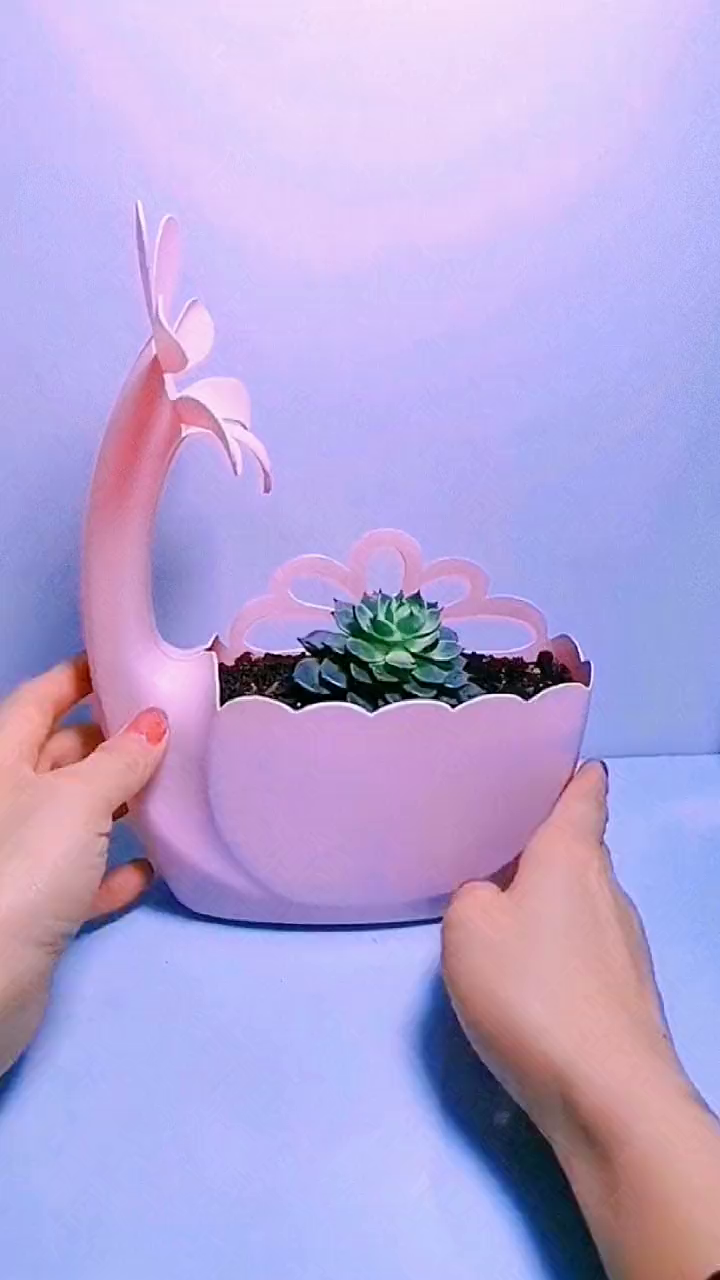 多肉花盆废物利用生活小妙招-度小视