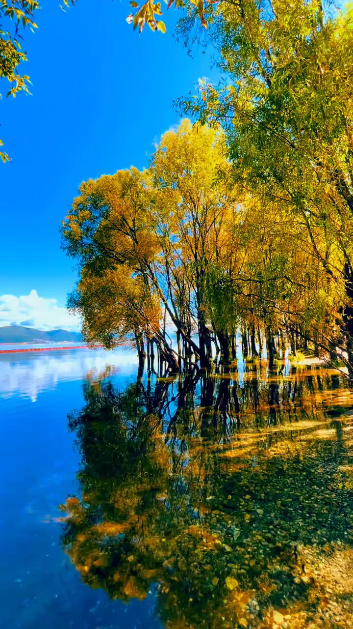 但愿这个秋天都是浪漫抬头所遇皆温柔