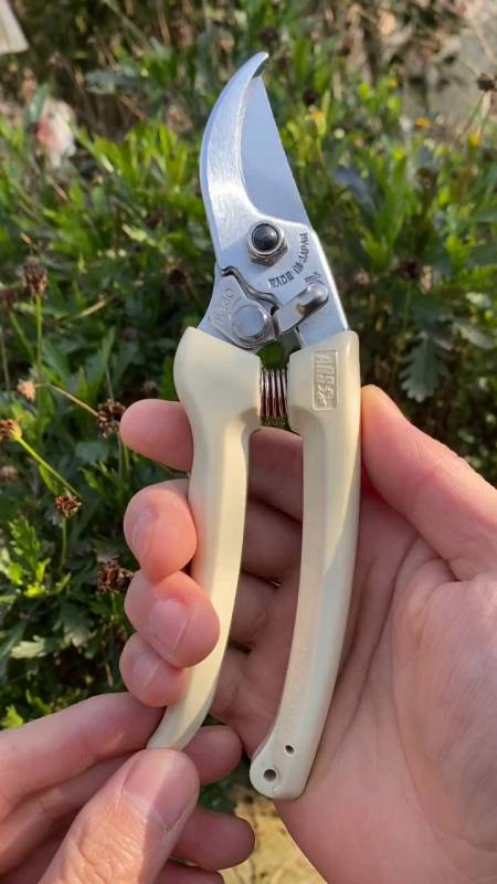 爱丽丝修枝剪,农技师都知道的一个大品牌-度小视