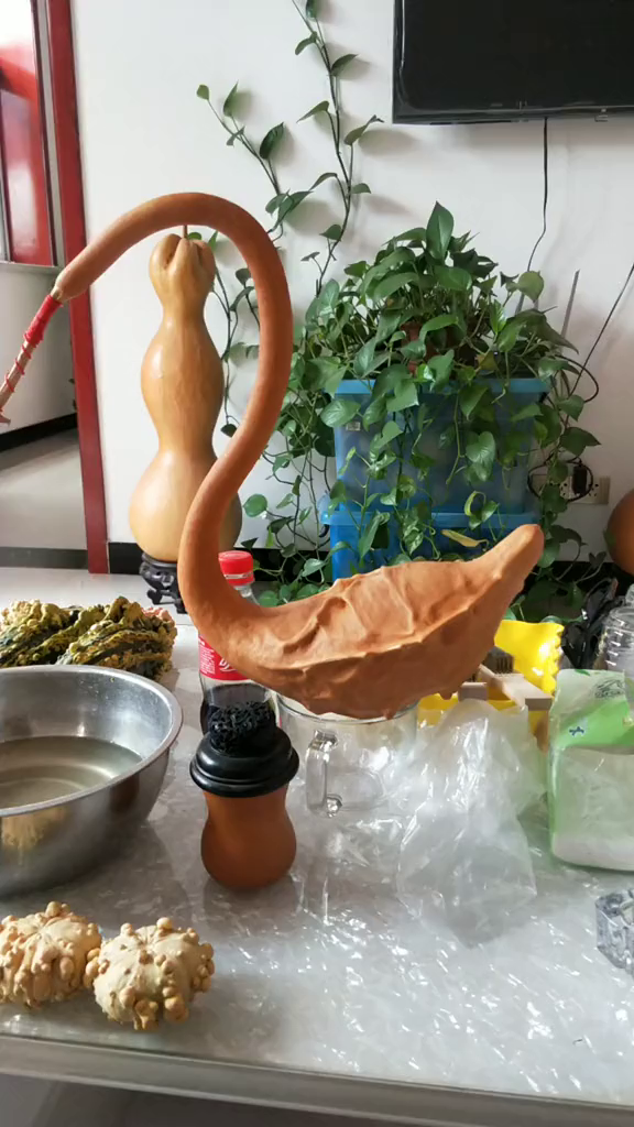 鹤首葫芦造型如何制作图片