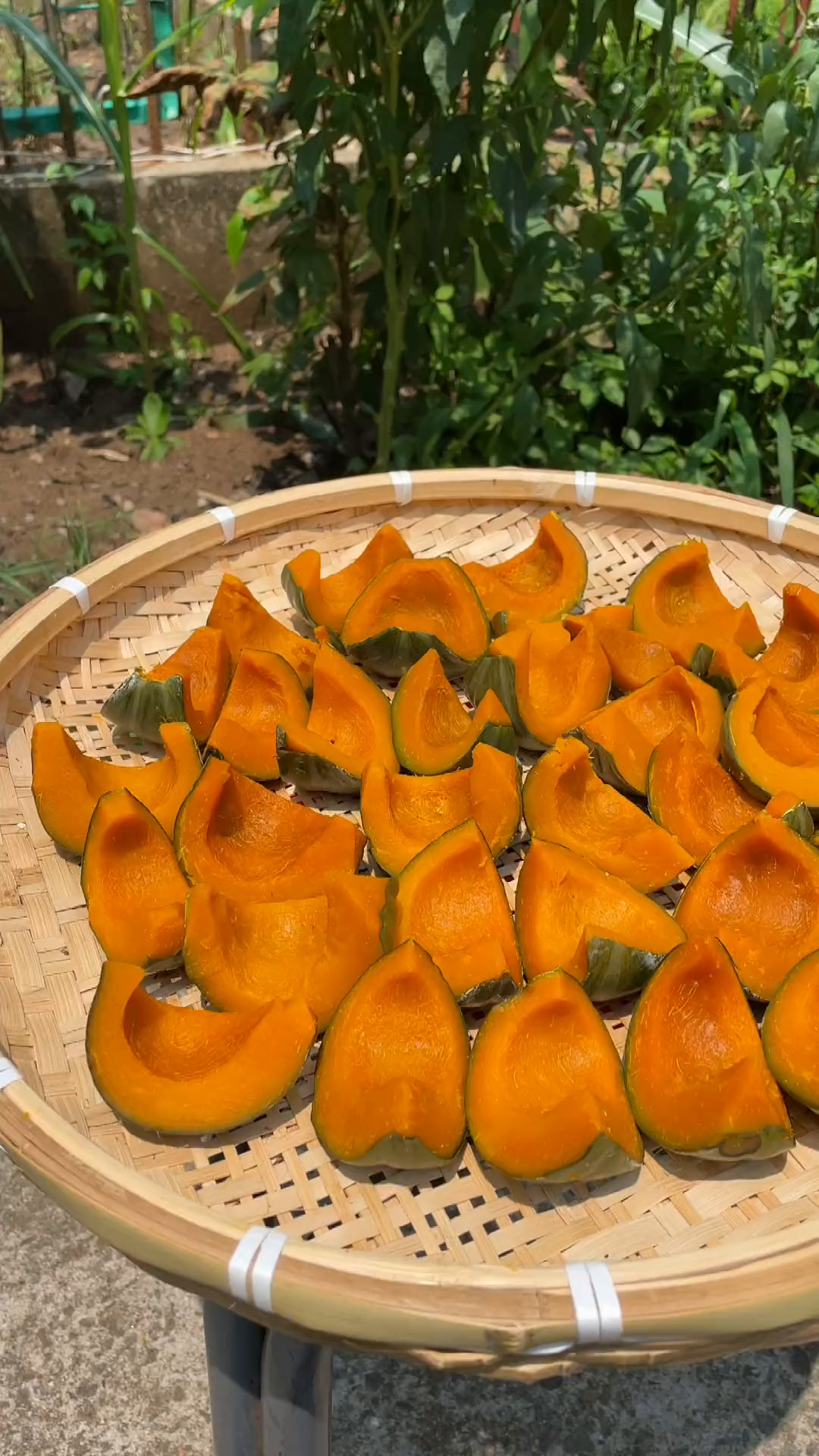 农村小孩的零食自晒南瓜干!-度小视