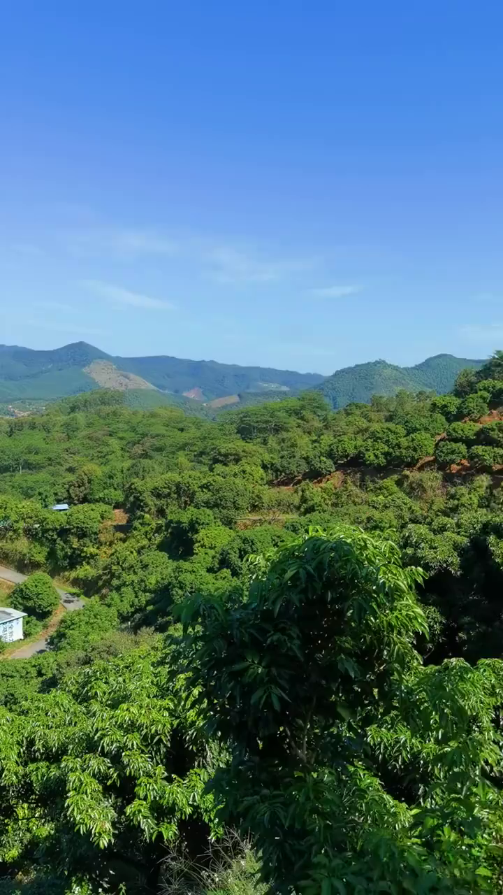 增城蕉石岭森林公园非常适合周末亲子秋游-度小视