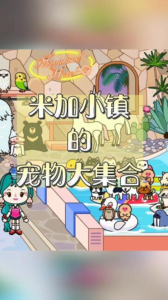 米加小镇的宠物分享,你喜欢哪一只呢?-度小视