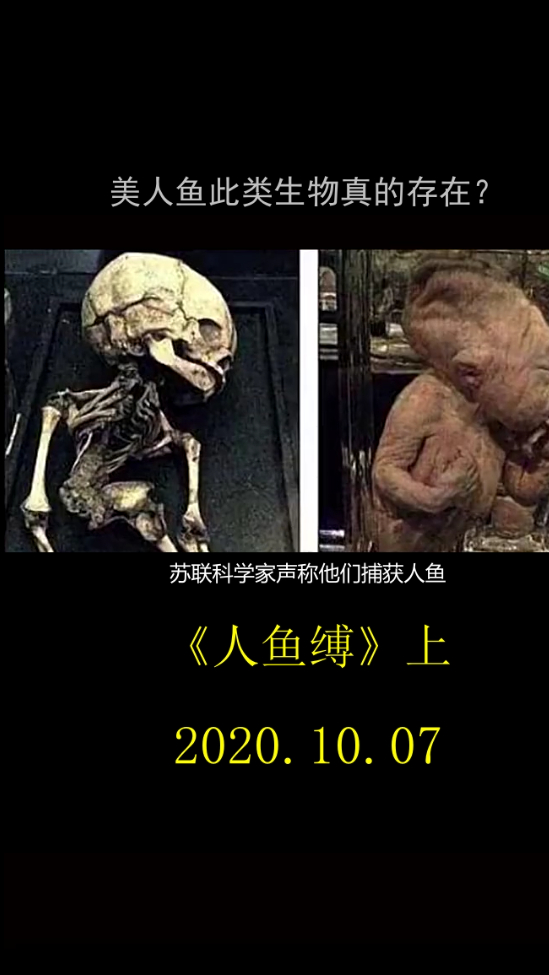 已经有太多证据表明美人鱼确实存在于地球上!你相信吗?(上)