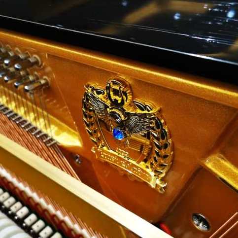 德国恩斯特性价比之王钢琴限量发售|222周年蓝钻纪念款钢琴|e-q5