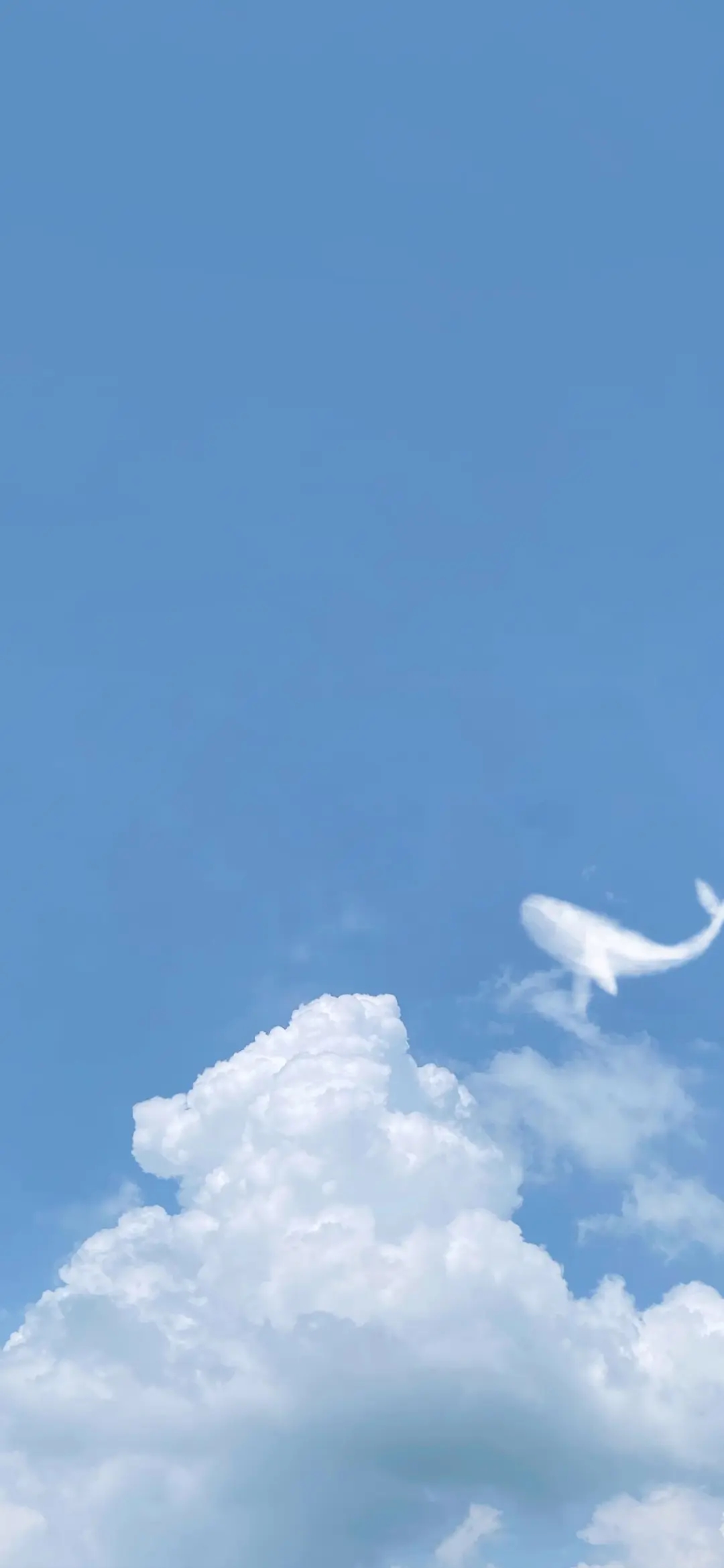 为什么占卜在古代生活中如此重要?屈原和司马迁来告诉你的