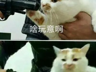 微信如何防封？公司他们是怎么做到的