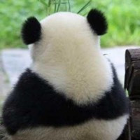 冷酷 无情 用英语怎么翻译 百度知道