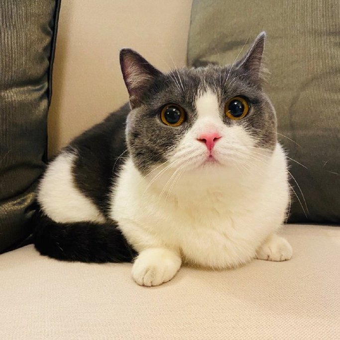 24个比利 1994年bantam出版的图书 百度百科