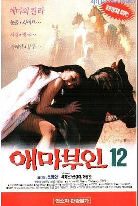 1995韩国理仑片《爱玛夫人12》全集免费在线观看 