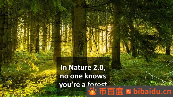 AI 与区块链的融合：迈向 Nature2.0