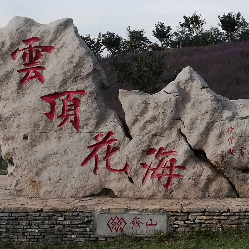 幸福的家庭都是相似的,不幸的家庭各有各的不幸