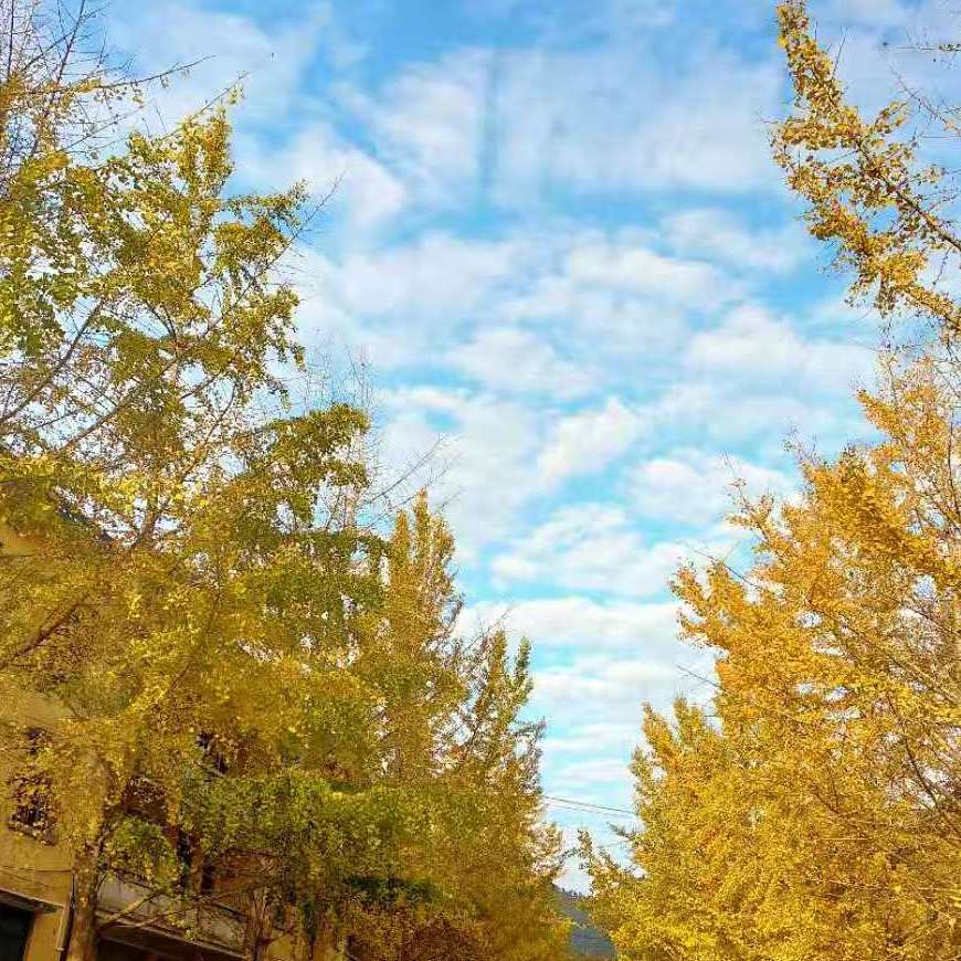 侍道4 刷钱方法教学侍道4怎么赚钱 百度经验