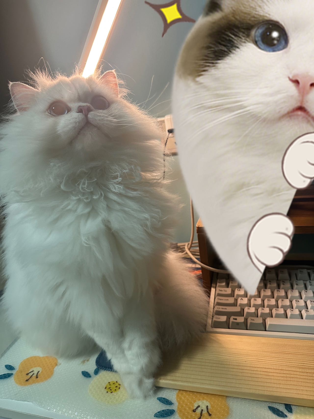 0.png