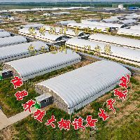 #养殖大棚#山东东营地区14米宽35米长的新型养殖大棚搭建中。