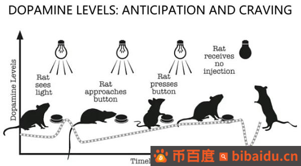 Crypto 多巴胺和消费主义