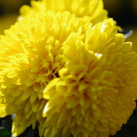 冀教版5五年级 一起 英语上册全册教学课件 图文 百度文库