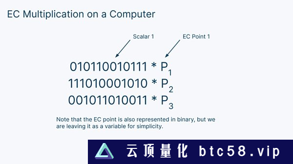 Figment Capital：深入解读零知识证明加速