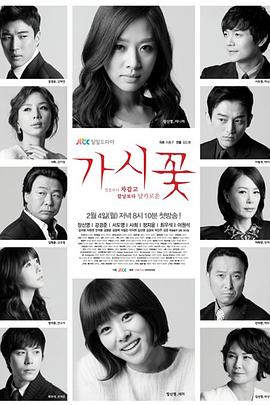 2013韩剧《荆棘花》全集免费在线观看 -《荆棘花》演员表,剧情,影评