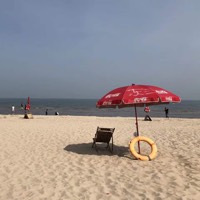 3本架空古言小说 魔帝的爱妃 垫底 本本都是经典之作 百科ta说