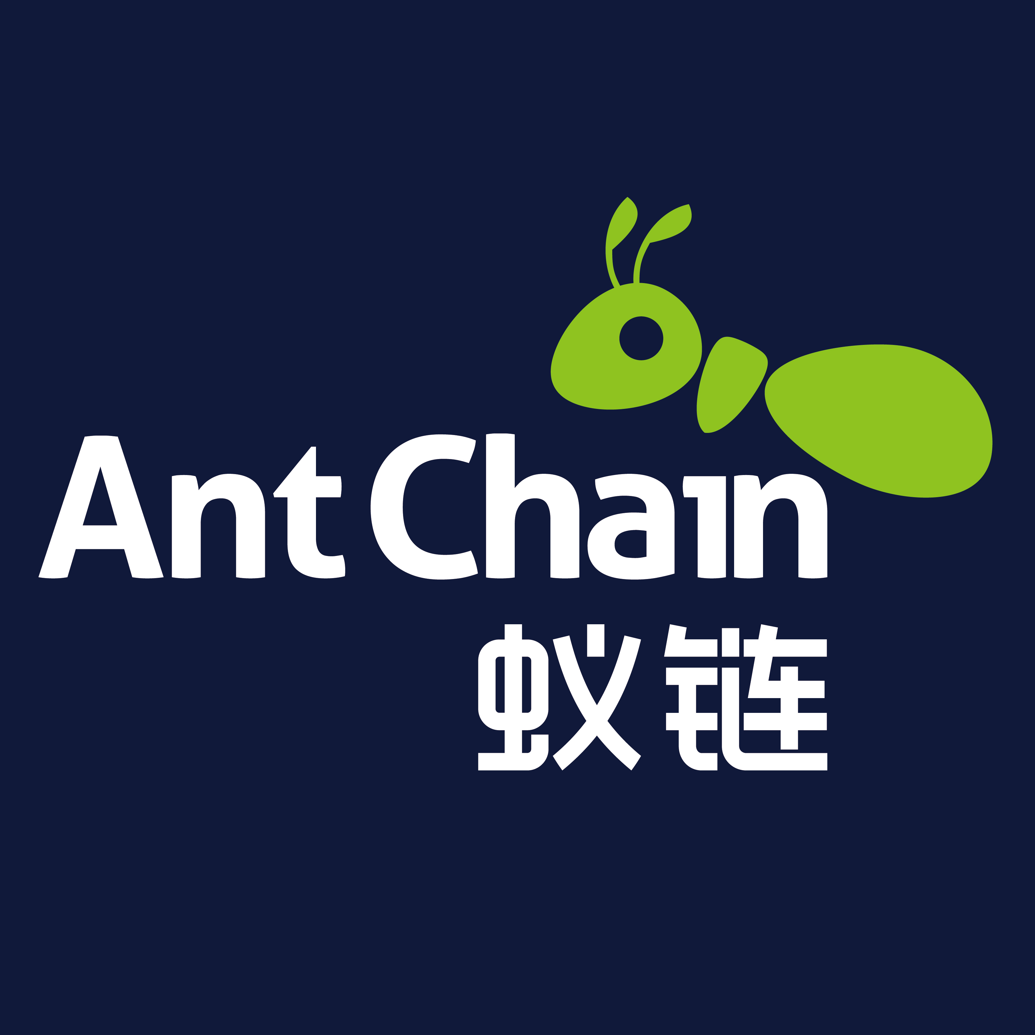 美好时光,感谢有你——蚁链11月生日会