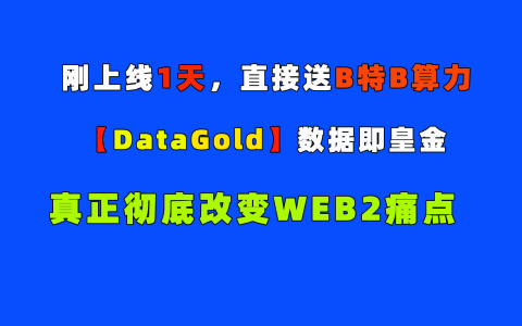 首码DataGold全球首个由实在BTC算力和FIL算力作为价值承托的数据聚合渠道