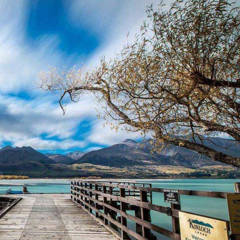 河豚 适应淡水生境的鲸类动物 百度百科