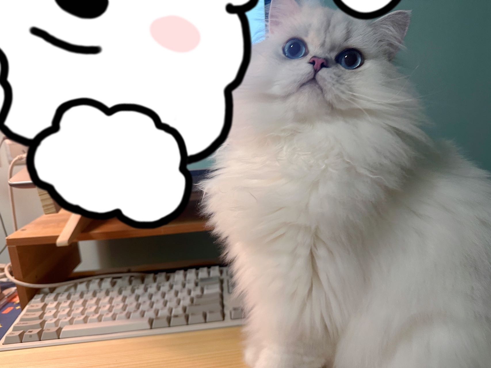 0.png