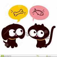 #猫#现实版的猫和老鼠，流浪猫的午餐被有它一半大的老鼠霸占了。