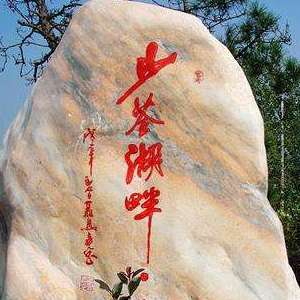 博主合肥少荃有说关于龙子湖路,少荃湖湿地公园的一些最新进展