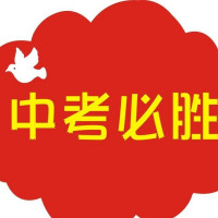Dgs是什么 百度知道