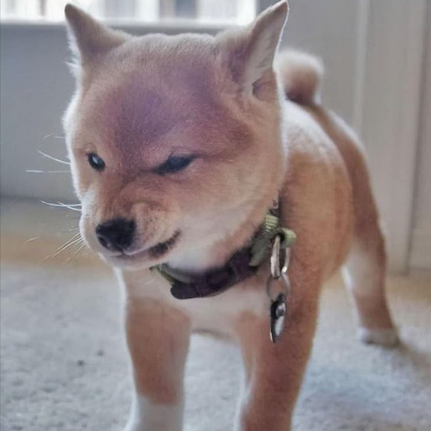 安利:帅气台湾学霸说唱歌手—熊仔