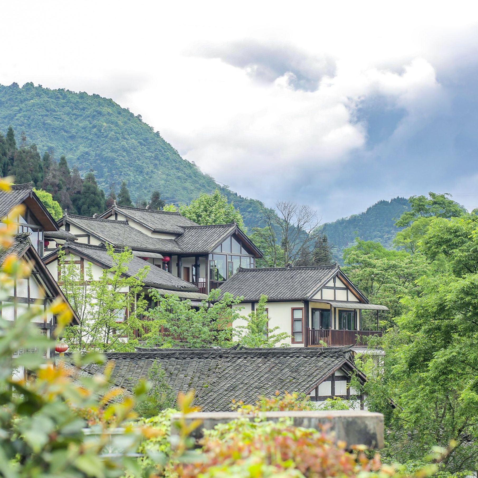 达州市委书记带队考察金杯半山集团,川东龙门洞项目持续推进